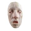 Image 1 : Hell Fest The Druid SFX Mask Movie Props