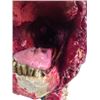 Image 3 : Hell Fest Screen Used Zombie Head Movie Props