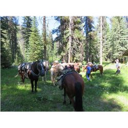 5 Day Purcell Wilderness Adventure for Four