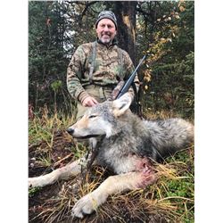 7 Day Remote Wolf Hunt in the Peace Region