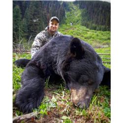 5 Day Spring Black Bear Hunt in the Omineca