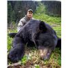 Image 1 : 5 Day Spring Black Bear Hunt in the Omineca
