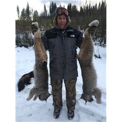 5 Day Trapline Adventure in the Cariboo Chilcotin