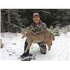 Image 1 : 5 Day Bobcat Hunt in Southern BC