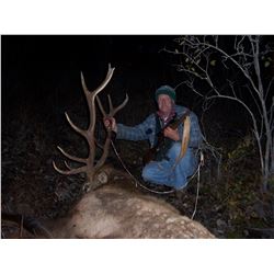 8 Day Archer Elk Combo Hunt in Southern BC