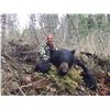 Image 1 : 6 Day Black Bear Hunt in the Cariboo Chilcotin