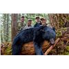 Image 3 : 6 Day Black Bear Hunt in the Cariboo Chilcotin