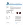 Image 3 : 12 CTW Cushion Cut Garnet Designer Solitaire Stud Earrings 14K Rose Gold - REF-35Y6K - 21782