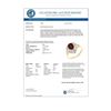 Image 2 : 1.11 CTW Garnet & Diamond Ring 10K Yellow Gold - REF-11K8W - 13607