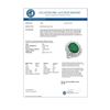 Image 2 : 10.83 CTW Emerald & Diamond Ring 18K White Gold - REF-307N3Y - 12962