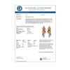 Image 3 : 4.08 CTW Multi-Sapphire & Diamond Earrings 14K Yellow Gold - REF-95T3M - 14333