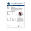 Image 2 : 2.84 CTW Ruby & Diamond Ring 18K White Gold - REF-90M9H - 12950