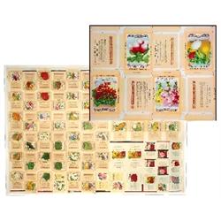 Seed package printer's proof, 67 colorful uncut litho on paper seed pkgs., Crosman-East Rochester, N