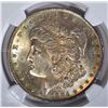 Image 2 : 1884-O MORGAN DOLLAR, NGC MS-64  OBV COLOR