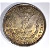 Image 3 : 1921 MORGAN CIRC, 2007 BALISTIC ROLL