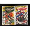 Image 1 : SPIDER-MAN COMIC BOOK LOT (MARVEL COMICS)