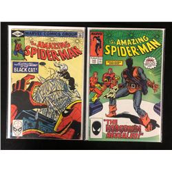 THE AMAZING SPIDER-MAN COMIC BOOK LOT #205/ #289 (MARVEL COMICS)