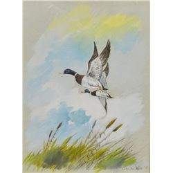 Cuts The Rope, Clarence, (1935-2000), original oil, Ducks, 1979, 9  x 12 