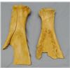 Image 1 : 2 Mandan small hoes / shovels, made from bison bone, polished by use