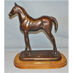 Ace Powell bronze, Sun Mountain Colt, 41/100, 11” h x 10” w