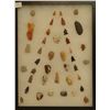 Image 1 : 40 artifacts in 12”x 16”x1” frame, includes 11 scrapers, 3 knives, 26 arrowheads