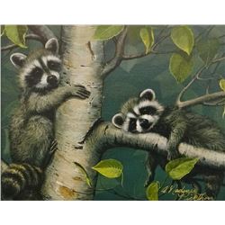 Pickthorn, A. Nadine, Raccoons, Canvas Print , 9.5 x 7.5