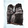 Image 1 : Bear hide gauntlets and Winchester marked saddle cinch