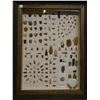 Image 1 : 138 artifacts, in 20" x 26" frame, arrowheads, scrapers, knives, buffalo teeth, rattle snake rattles