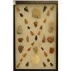 Image 1 : 37 artifacts in 8”x 12”x1” frame, includes 6 scrapers, 2 awls, 4 knives, 25 arrowheads