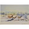 Image 2 : Cuts The Rope, Clarence, watercolor, Elk Crossing, 10" x 14", 1995