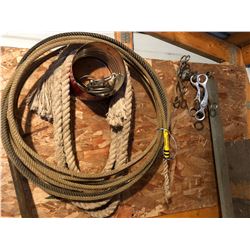 Horse Bits/Rope/Sash/Leather Lead/Lamp/Halter