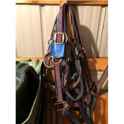 5 Burn Wash Bridles & 4 Feeding Buckets