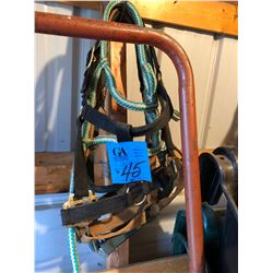 4 Rope & Canvas Halters & 3 Feeding Pails