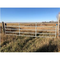 16' Metal Gate