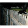 Image 13 : John F. Kennedy Assassination: Grassy Knoll Fence Posts