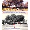 Image 8 : John F. Kennedy Assassination: Grassy Knoll Fence Posts