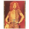 Image 1 : Robert Plant Signed Photograph