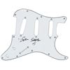 Image 1 : Son Seals Signed Pickguard
