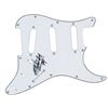 Image 1 : Bo Diddley Signed Pickguard
