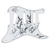 Image 1 : Chicago Signed Pick Guard