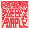 Image 2 : Deep Purple Signed Album