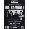 Image 1 : Ramones Group of (3) Belgian Concert Posters