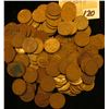 Image 2 : Pack of 118 Old U.S. Wheat Cents.