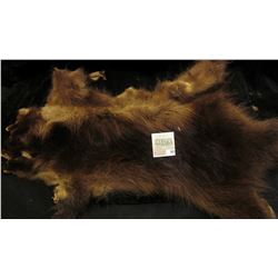 Raccoon Hide, tanned and made into leather. Ready for the Rendevous.