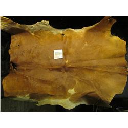 1987 "The Ottumwa Courier" with a full page Color Picture of Chief Wapello and a piece of tanned Cal