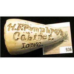 Deadly Conch Shell Company Souvenir deeply engraved "H.F. Pumphrey's Cabinet, Iowa.".