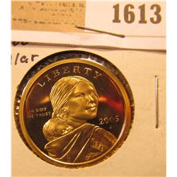 1613 _ 2005 S Proof 68 Native American Indian 'Golden' Dollar.
