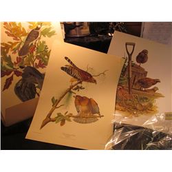 1876 _  The Fine Art of Audubon A Demonstration in Color Reproduction…  Four different Color 16  x 2