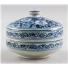 Image 1 : Chinese Ming Style Blue & White Porcelain Tea Case