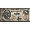 Image 1 : 1882 $5 Brown Back New York, New York National Currency Note CH# 4645